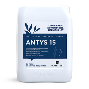 ANTYS 15