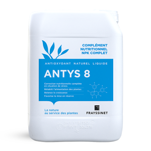 ANTYS 8