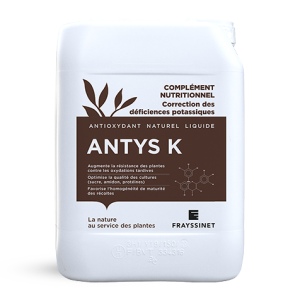 ANTYS K