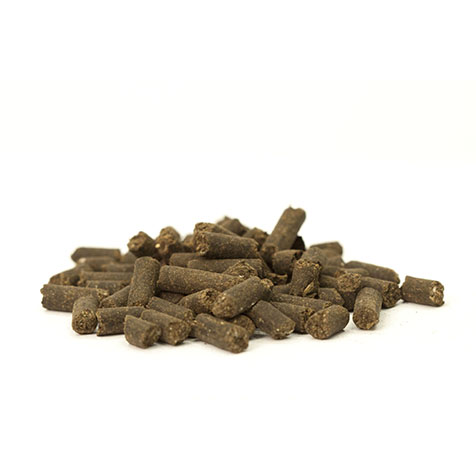 GUANORICH 3.3.3. engrais organique Fertil France granulé