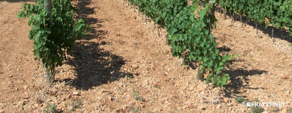 Why fertilize when soil is at rest ?