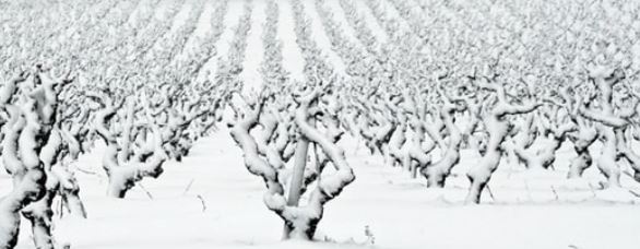 Winter : late snowfalls