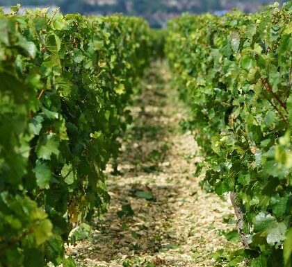 Bilan des mises en réserve 2023