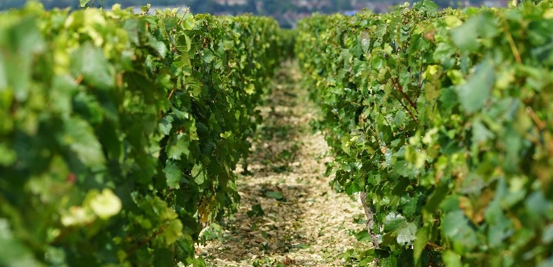 Bilan des mises en réserve 2023