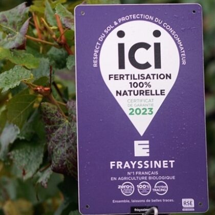 Préparer la qualité du débourrement de la vigne